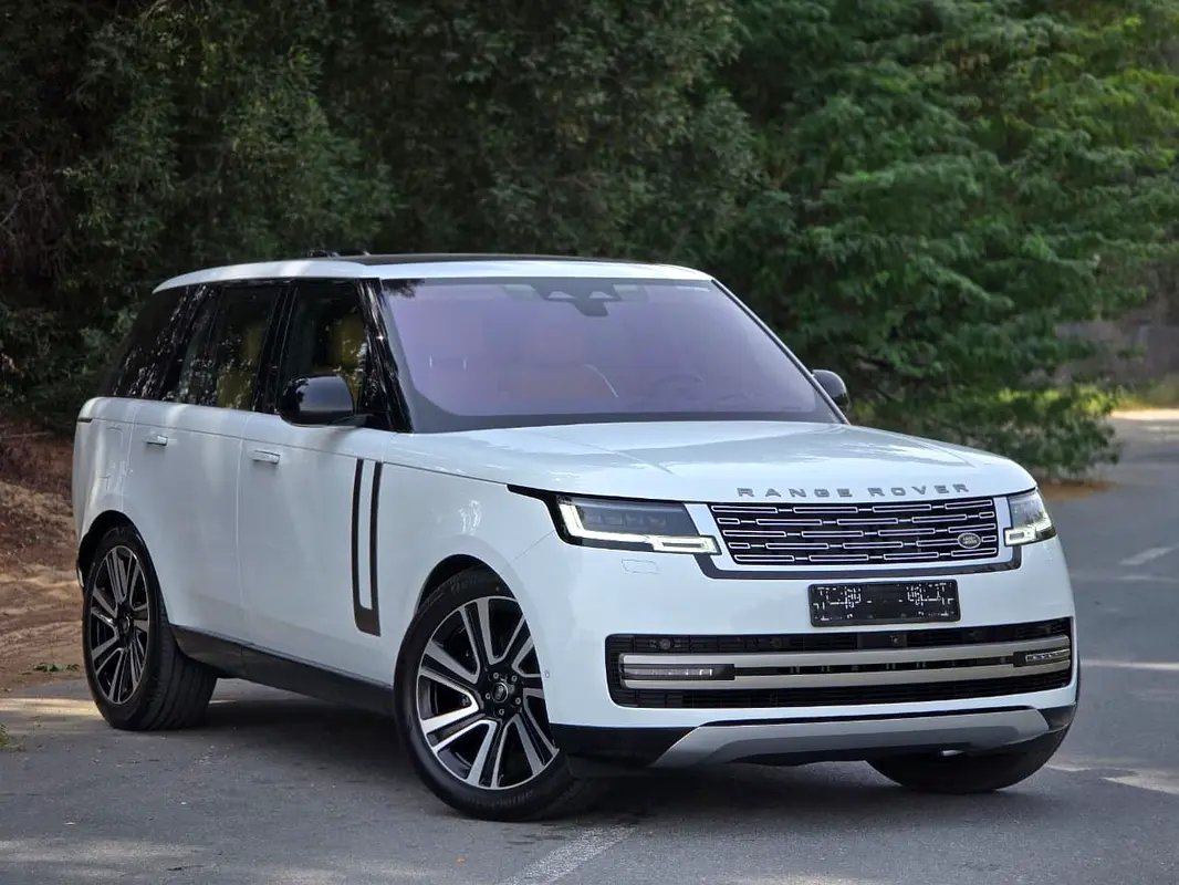  Land Rove vogue — photo 6